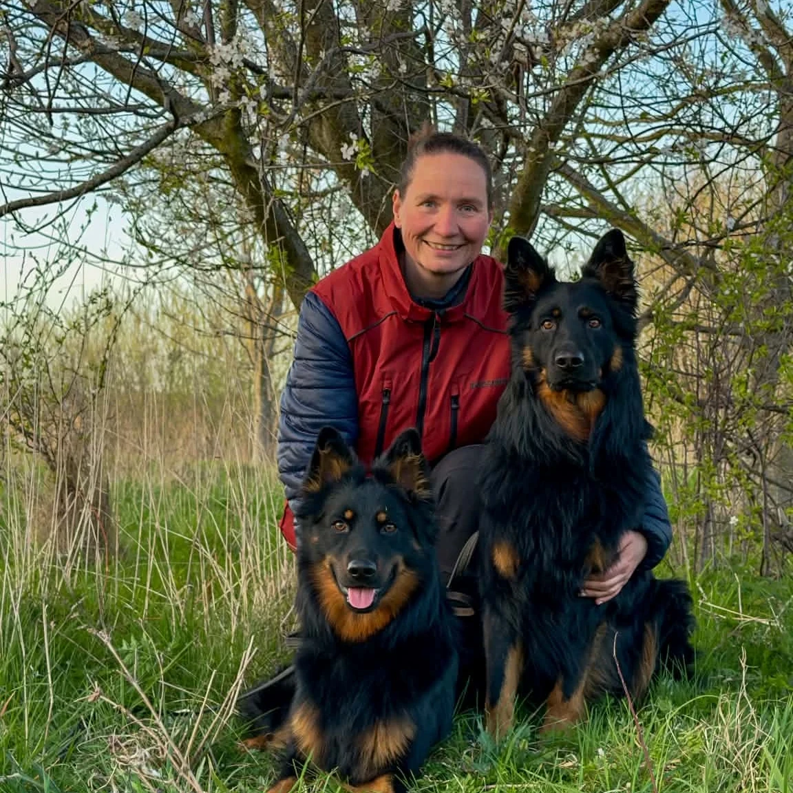 DCH – Hundetraining, Gemeinschaft und Platz für alle